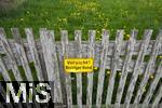 25.04.2025, Bad Wrishofen im Allgu, Vorsicht! Bissiger Hund! steht an einem Schild am Gartenzaun. 