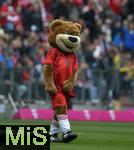 26.04.2025, Fussball 1. Bundesliga 2024/2025, 31. Spieltag,  FC Bayern Mnchen - 1.FSV Mainz 05, in der Allianz-Arena Mnchen. Berni das Bayer Maskottchen,


