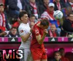 26.04.2025, Fussball 1. Bundesliga 2024/2025, 31. Spieltag,  FC Bayern Mnchen - 1.FSV Mainz 05, in der Allianz-Arena Mnchen. v.l. Anthony Caci (FSV Mainz) gegen Josip Stanisic (Bayern Mnchen) 


