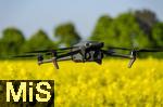 14.05.2025, Bad Wrishofen, Leuchtend gelbes Rapsfeld blht bei Bad Wrishofen im Unterallgu.  Drohne fliegt ber dem Feld.