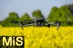 14.05.2025, Bad Wrishofen, Leuchtend gelbes Rapsfeld blht bei Bad Wrishofen im Unterallgu.  Drohne fliegt ber dem Feld.