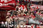 17.05.2025, Fussball 1. Bundesliga 2024/2025, 34. Spieltag,  TSG 1899 Hoffenheim - FC Bayern Mnchen, In der Pre-Zero-Arena Sinsheim.  FCB Fans 