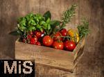 19.05.2025,  Tomaten-Kiste mit Basilikum und Rosmarin-Kruter.