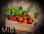19.05.2025,  Tomaten-Kiste mit Basilikum und Rosmarin-Kruter.