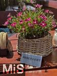 20.06.2025, Symbolbild, Thema: Reservierung in der Gastronomie,  Auf einem Biergarten-Tisch steht das RESERVIERT-Schild an einem Blumenstock.