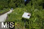 12.07.2025, Bad Wrishofen im Unterallgu, Im Kurpark gibt es einen Duftgarten mit vielen Pflanzen zum riechen und staunen.