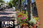 12.07.2025, Bad Wrishofen im Unterallgu, Blumenrabatte in der Fussgngerzone. 