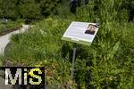 12.07.2025, Bad Wrishofen im Unterallgu, Im Kurpark gibt es einen Duftgarten mit vielen Pflanzen zum riechen und staunen.