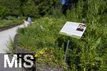 12.07.2025, Bad Wrishofen im Unterallgu, Im Kurpark gibt es einen Duftgarten mit vielen Pflanzen zum riechen und staunen.