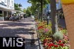 12.07.2025, Bad Wrishofen im Unterallgu, Blumenrabatte in der Fussgngerzone. 