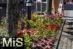 12.07.2025, Bad Wrishofen im Unterallgu, Blumenrabatte in der Fussgngerzone. 