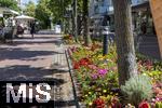 12.07.2025, Bad Wrishofen im Unterallgu, Blumenrabatte in der Fussgngerzone. 