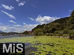 14.07.2025, Hopfensee in Bayern, Der Hopfensee bei Fssen im Allgu,   