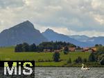 14.07.2025, Hopfensee in Bayern, Der Hopfensee bei Fssen im Allgu,  Auf dem See ein Tretboot in Schwanenform. 