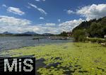 14.07.2025, Hopfensee in Bayern, Der Hopfensee bei Fssen im Allgu,   