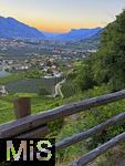 31.07.2025, Meran in Sdtirol, Italien. Ortsteil Algund, Ausblick vom Hang eines Weinberges.