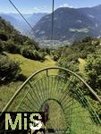 31.07.2025, Meran in Sdtirol, Italien. Ortsteil Algund, Ausblick von der Korbseilbahn, KORBLIFT VELLAU-LEITER ALM. Langsam schwebt man durch die Weinberge und Wlder von Algund nach Vellau.
Von dort gelangt man mit dem nostalgischen Korblift direkt zur - am Meraner Hhenweg gelegenen - Leiter Alm auf 1.550 Metern Hhe.
 