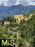 31.07.2025, Meran in Sdtirol, Italien. Grten am Schlo Trauttmansdorff (Bilder nicht fr Abdruck oder Verffentlichung freigegeben! Nur fr interne Archivzwecke auf dieser Datenbank. Keine Freigabe durch Schloss Trauttmansdorff erfolgt!)