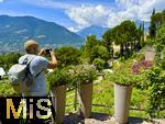 31.07.2025, Meran in Sdtirol, Italien. Grten am Schlo Trauttmansdorff (Bilder nicht fr Abdruck oder Verffentlichung freigegeben! Nur fr interne Archivzwecke auf dieser Datenbank. Keine Freigabe durch Schloss Trauttmansdorff erfolgt!)