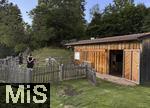 31.07.2025, Meran in Sdtirol, Italien. Ortsteil Hafling, Tiergehege am Hotel Chalet Mirabell, Geschorene Lamas und Alpakas grasen hier friedlich.