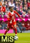 02.08.2025, Fussball Bundesliga 2025/2026, Freundschaftsspiel, FC Bayern Mnchen - Olympique Lyon, in der Allianz-Arena Mnchen,  Michael Olise (FC Bayern Mnchen) am Ball 