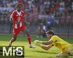 12.08.2025, Fussball Bundesliga 2025/2026, Freundschaftsspiel, Grasshopper Club Zrich - FC Bayern Mnchen - im Stadion am Letzigrund, Zrich (Schweiz). Jonah Kusi-Asare (Bayern Mnchen) gegen Justin Hammel (Grasshopper Club Zrich) 