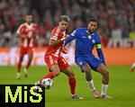 17.09.2025,  Fussball UEFA Championsleague 2025/2026: 1.Spieltag, FC Bayern Mnchen - FC Chelsea, in der Allianz-Arena Mnchen.   v.l. Luis Diaz (FC Bayern Mnchen) gegen Reece James (FC Chelsea) 
  

