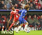 17.09.2025,  Fussball UEFA Championsleague 2025/2026: 1.Spieltag, FC Bayern Mnchen - FC Chelsea, in der Allianz-Arena Mnchen.   v.l. Michael Olise (FC Bayern Mnchen) gegen Marc Cucurella (FC Chelsea) 
  


