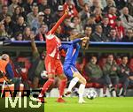 17.09.2025,  Fussball UEFA Championsleague 2025/2026: 1.Spieltag, FC Bayern Mnchen - FC Chelsea, in der Allianz-Arena Mnchen.   v.l. Michael Olise (FC Bayern Mnchen) gegen Marc Cucurella (FC Chelsea) 
  

