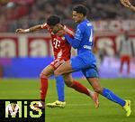 01.11.2025, Fussball Bundesliga 2025/2026, 9.Spieltag, FC Bayern Mnchen - Bayer Leverkusen, in der Allianz-Arena Mnchen, v.l.  Luis Diaz (FC Bayern Mnchen) gegen Jarell Quansah (Leverkusen) 


