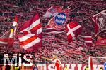 01.11.2025, Fussball Bundesliga 2025/2026, 9.Spieltag, FC Bayern Mnchen - Bayer Leverkusen, in der Allianz-Arena Mnchen, Bayernfans schwenken ihre Schals