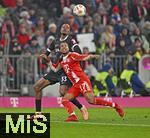 22.11.2025, Fussball Bundesliga 2025/2026, 11.Spieltag, FC Bayern Mnchen - SC Freiburg, in der Allianz-Arena Mnchen,  v.l. Jordy Makengo (SC Freiburg) gegen Michael Olise (FC Bayern Mnchen) 


