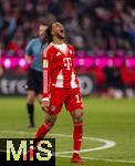 22.11.2025, Fussball Bundesliga 2025/2026, 11.Spieltag, FC Bayern Mnchen - SC Freiburg, in der Allianz-Arena Mnchen, Michael Olise (FC Bayern Mnchen) rgert sich 