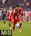 22.11.2025, Fussball Bundesliga 2025/2026, 11.Spieltag, FC Bayern Mnchen - SC Freiburg, in der Allianz-Arena Mnchen, Luis Diaz (FC Bayern Mnchen) am Ball 