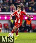 22.11.2025, Fussball Bundesliga 2025/2026, 11.Spieltag, FC Bayern Mnchen - SC Freiburg, in der Allianz-Arena Mnchen, Tom Bischof (Bayern Mnchen) am Ball 