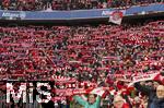 29.11.2025, Fussball Bundesliga 2025/2026, 12.Spieltag, FC Bayern M�nchen - FC St. Pauli, in der Allianz-Arena M�nchen, Bayernfans schwenken ihre Schals.