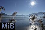 31.12.2025, Winterlandschaft bei F�ssen im Allg�u, am Hopfensee 