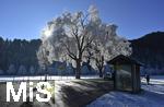 31.12.2025, Winterlandschaft bei F�ssen im Allg�u, Bei Schwangau