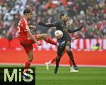 24.01.2026, Fussball Bundesliga 2025/2026, 19.Spieltag, FC Bayern M�nchen - FC Augsburg, in der Allianz-Arena M�nchen,   v.l. Aleksandar Pavlovic (FC Bayern M�nchen) gegen Alexis Julian Claude-Maurice (FC Augsburg) 


