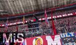 24.01.2026, Fussball Bundesliga 2025/2026, 19.Spieltag, FC Bayern M�nchen - FC Augsburg, in der Allianz-Arena M�nchen, S�dkurve Bayernfans