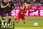 24.01.2026, Fussball Bundesliga 2025/2026, 19.Spieltag, FC Bayern M�nchen - FC Augsburg, in der Allianz-Arena M�nchen, Jamal Musiala (Bayern M�nchen) f�llt hin.