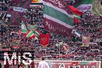 31.01.2026, Fussball 1. Bundesliga 2025/2026, 20.Spieltag, FC Augsburg - FC St. Pauli, in der WWK-Arena Augsburg. Fans des FCA in ihrer Kurve.