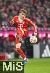 08.02.2026, Fussball Bundesliga 2025/2026, 21.Spieltag, FC Bayern M�nchen - TSG 1899 Hoffenheim, in der Allianz-Arena M�nchen,   
Lennart Karl (FC Bayern M�nchen) am Ball.

