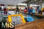 20.02.2026, Die Reise- und Freizeitmesse f.r.e.e.26 in M�nchen im Messegel�nde Riem. 
 Stand-Up-Paddle Ballsport im Indoor-Wasserbecken.