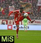 21.02.2026, Fussball Bundesliga 2025/2026, 23.Spieltag, FC Bayern M�nchen - Eintracht Frankfurt, in der Allianz-Arena M�nchen,   Alphonso Davies (FC Bayern M�nchen) am Ball.


