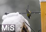 26.02.2026, Bad Woerishofen (Unterallgaeu) Eine Kohlmeise (Parus major)  an einem Vogelhaeuschen bei der Winterfuetterung im Garten  